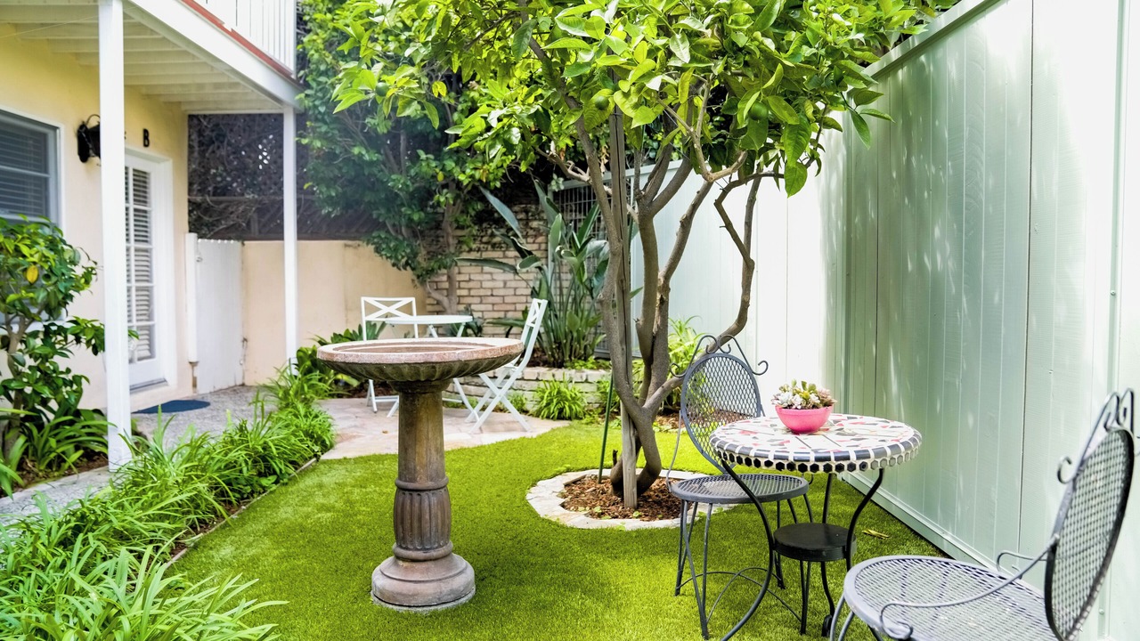 Photo of Outdoor in North of Wilshire
