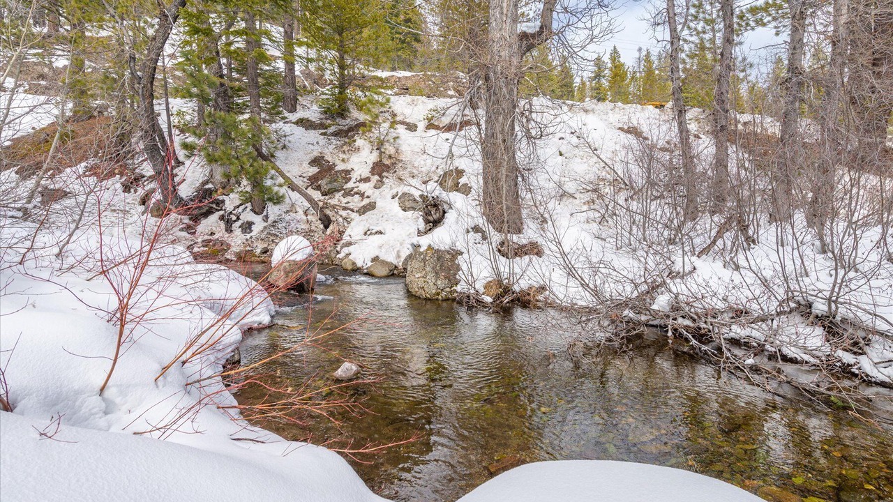 Photo of Others in Alpine Meadows