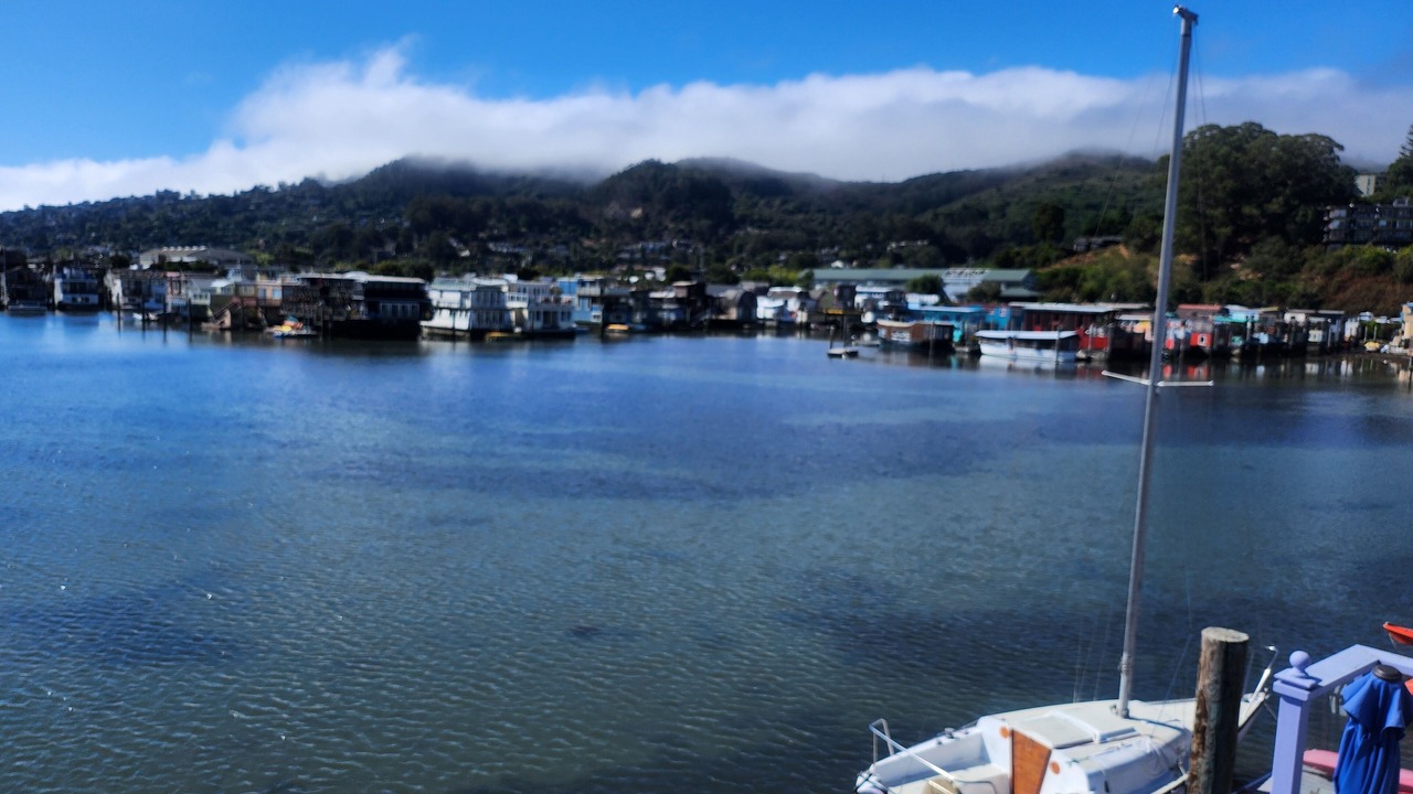 Photo of Others in Marin City