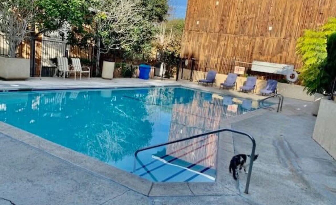 Photo of Outdoor in Rancho Palos Verdes