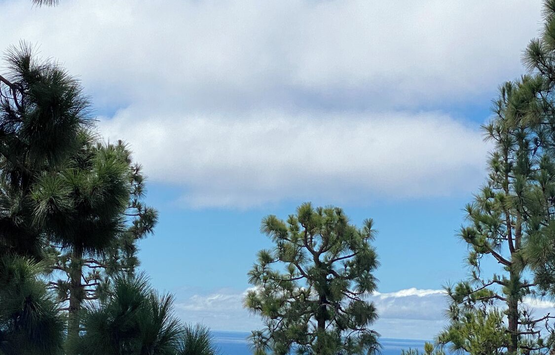 Photo of Others in Rancho Palos Verdes