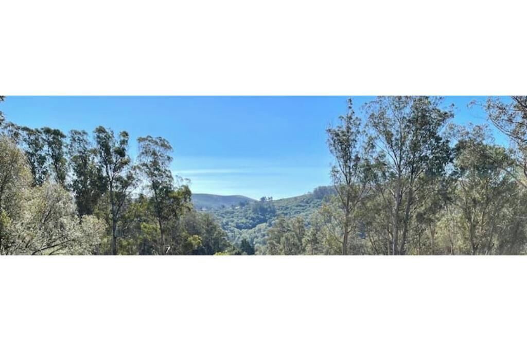 Photo of Others in Tamalpais-Homestead Valley