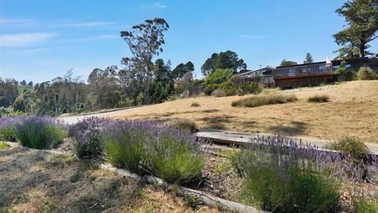 Photo of Others in Tamalpais-Homestead Valley
