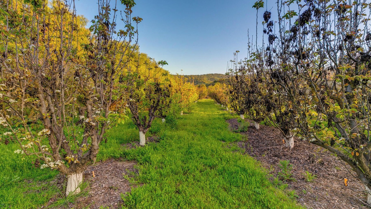 Photo of Others in Ojai