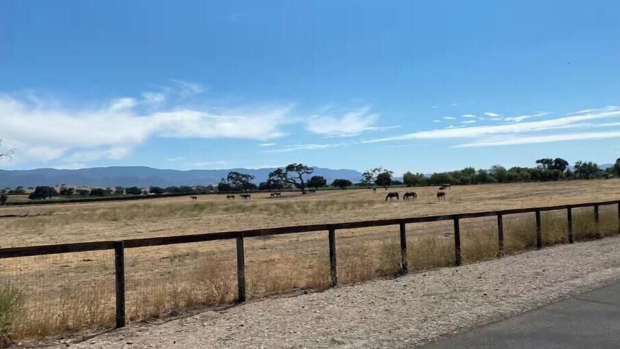 Photo of Others in Santa Ynez