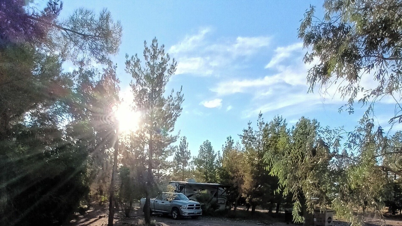 Photo of Others in Mojave Desert