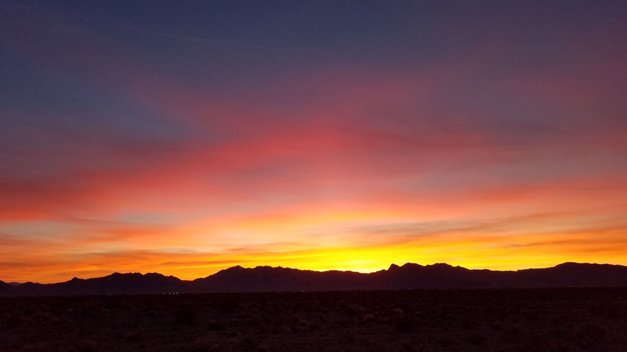 Photo of Others in Mojave Desert