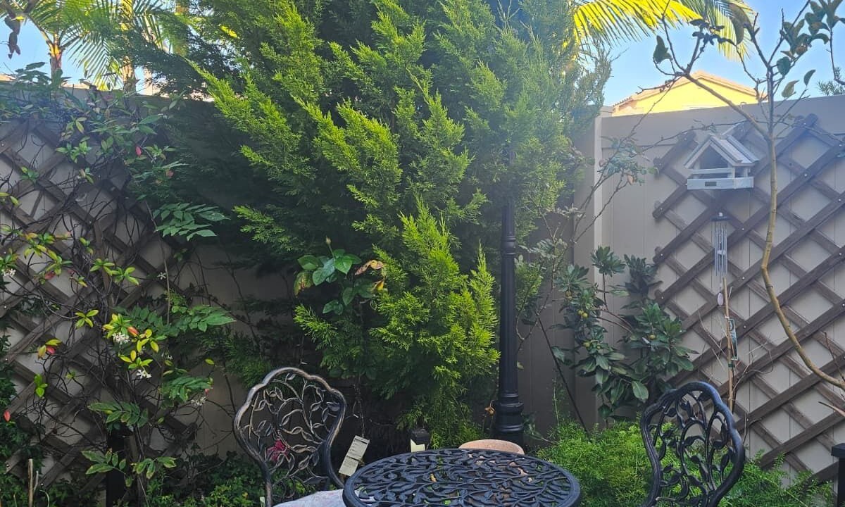 Photo of Outdoor in Aviara