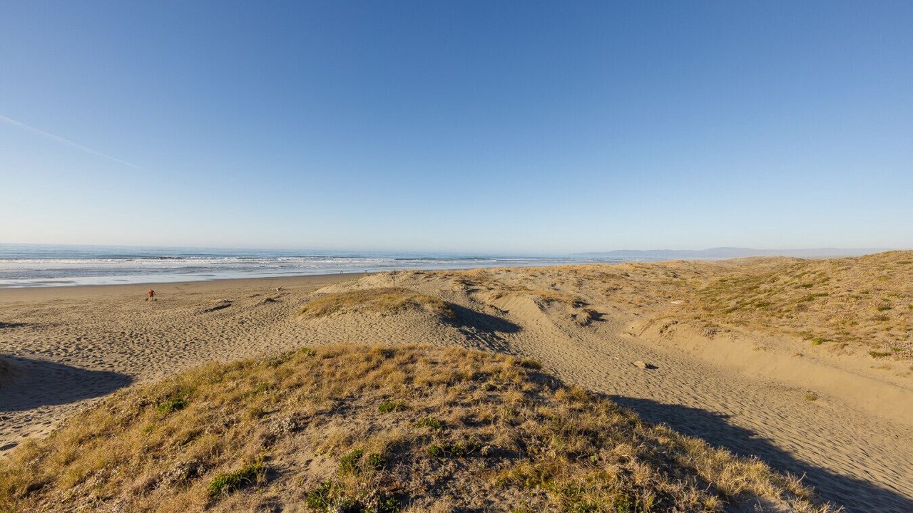 Photo of Others in Arcata