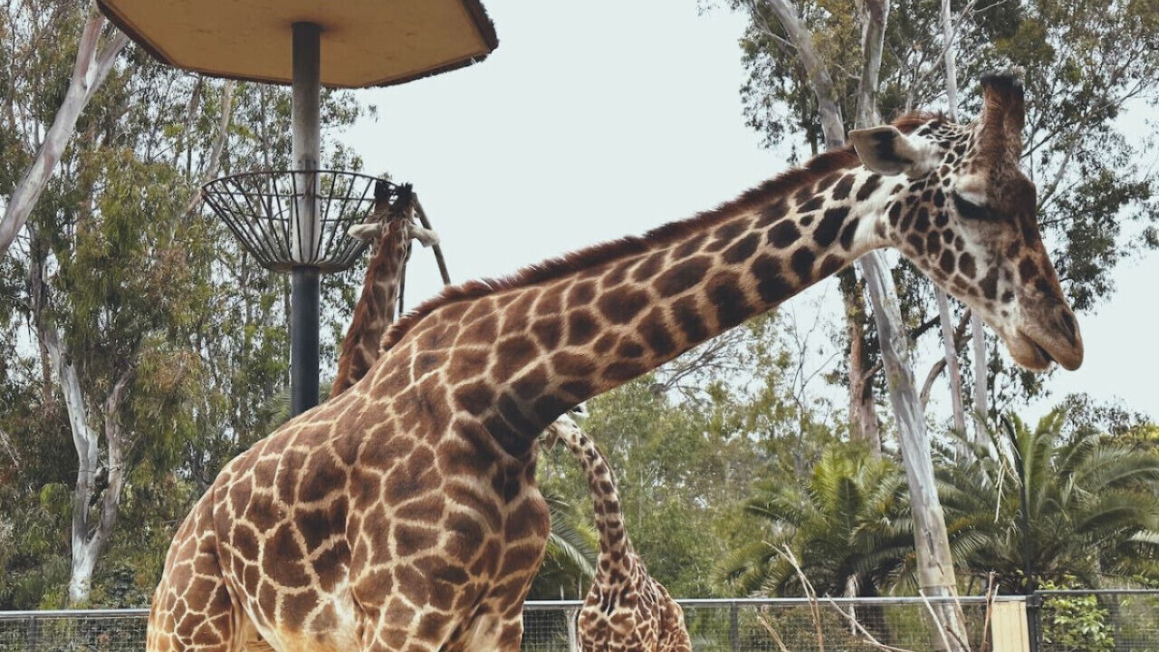 Photo of Others in Mission Hills