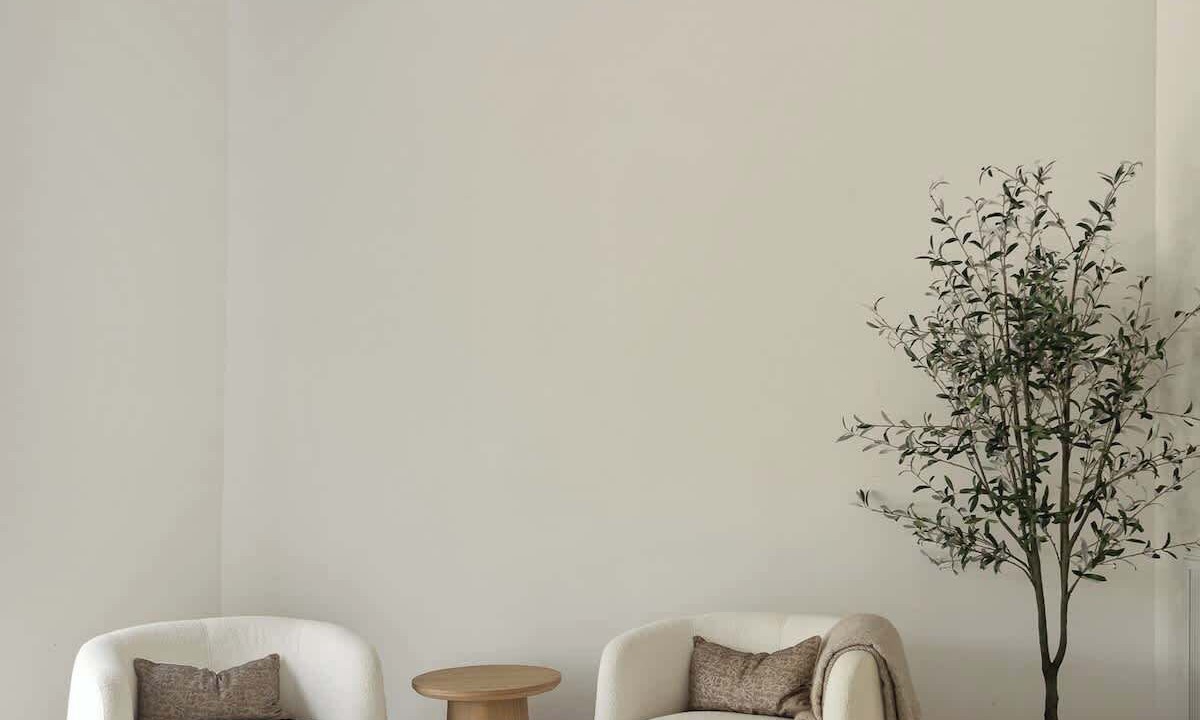 Photo of Others in Blue Jay