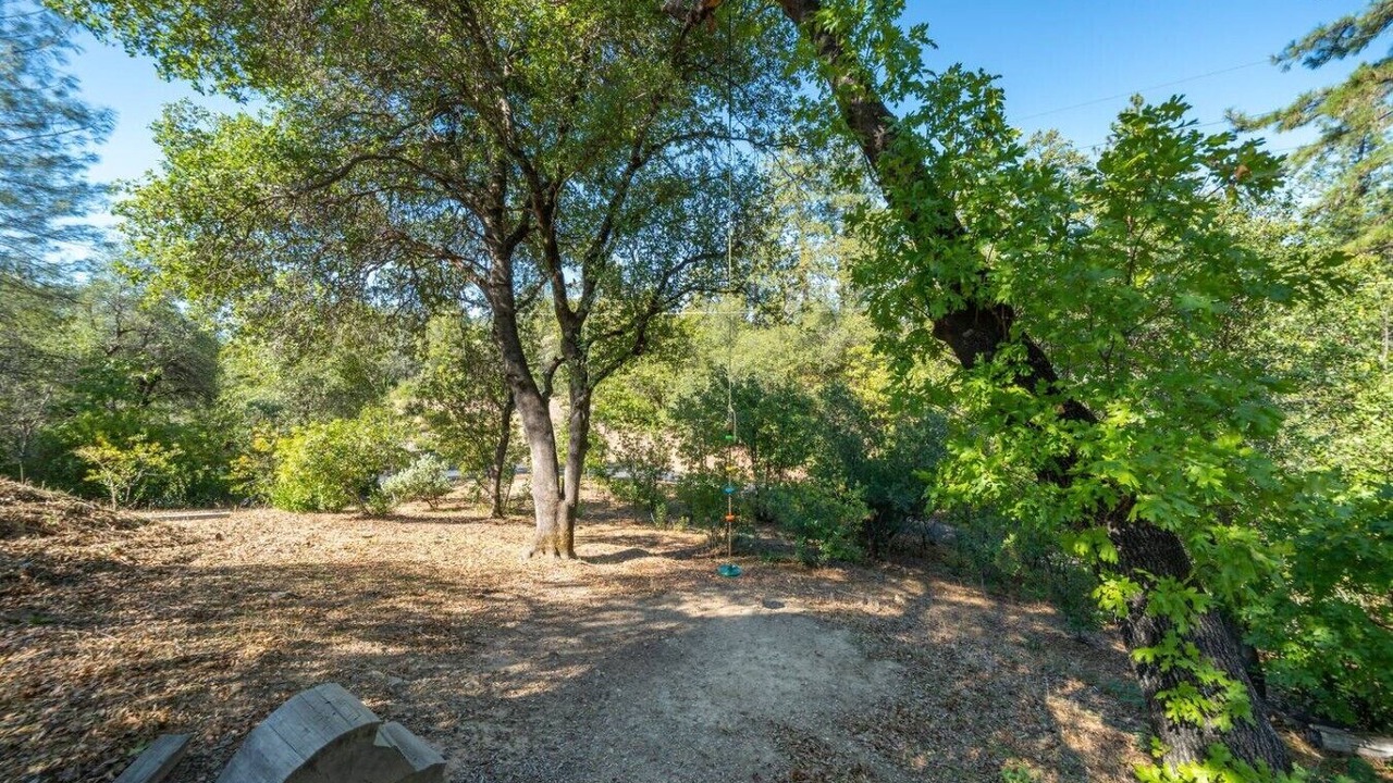 Photo of Others in Redding