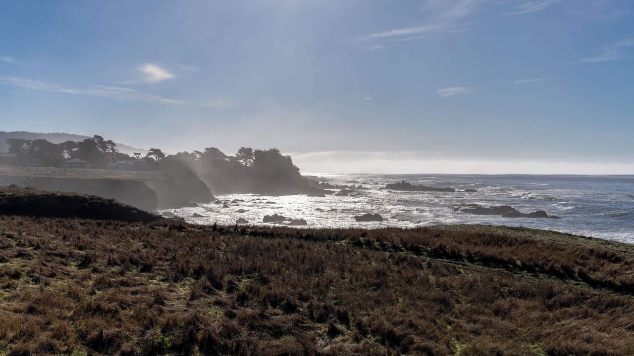 Photo of Others in Sea Ranch