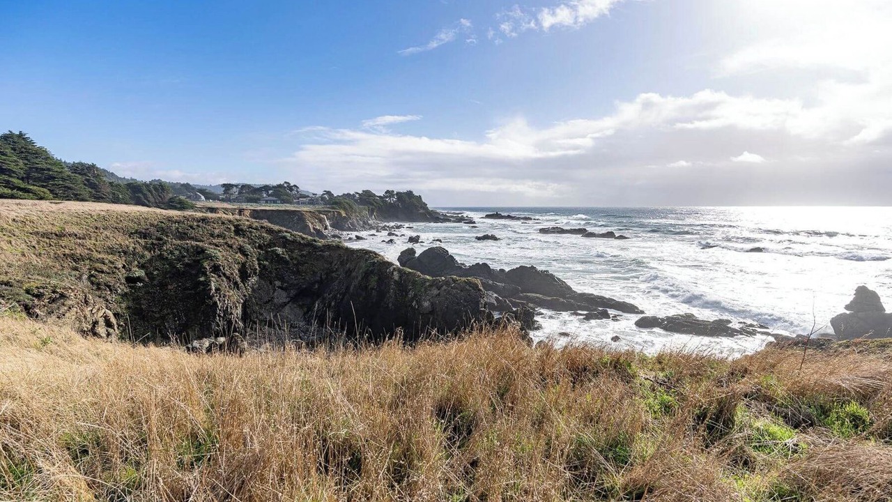 Photo of Others in Sea Ranch