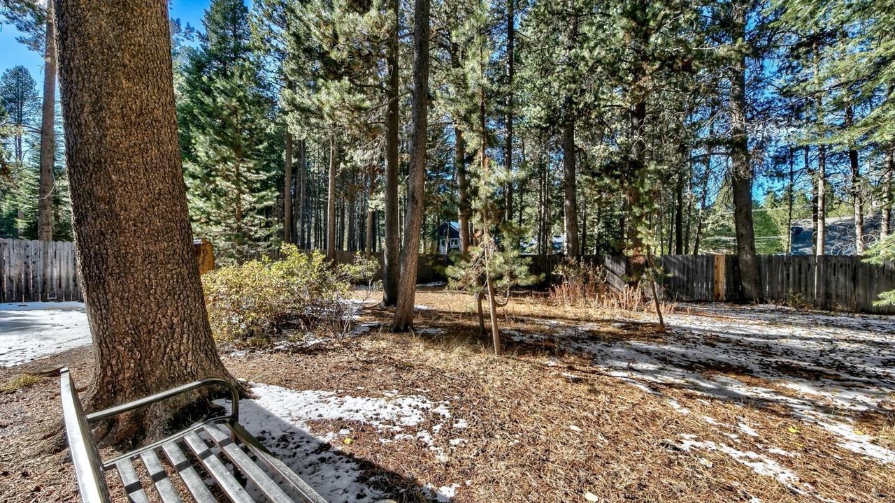 Photo of Outdoor in Tahoe Paradise