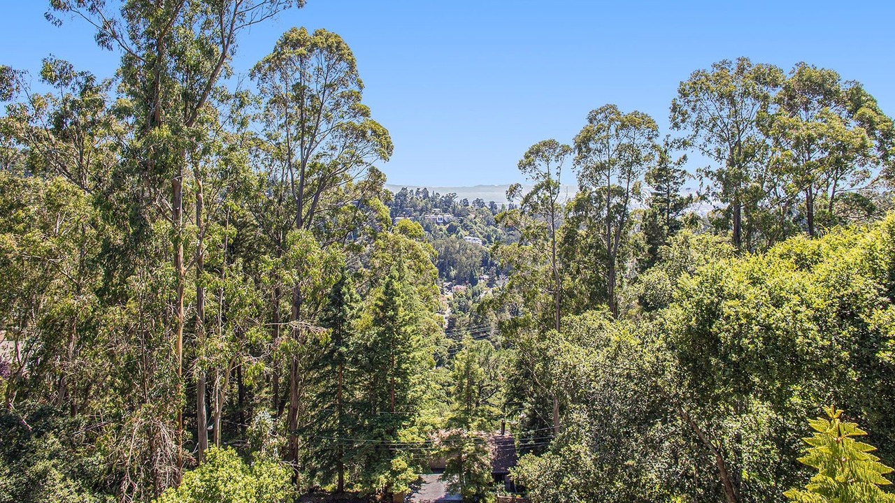 Photo of Others in Shepherd Canyon