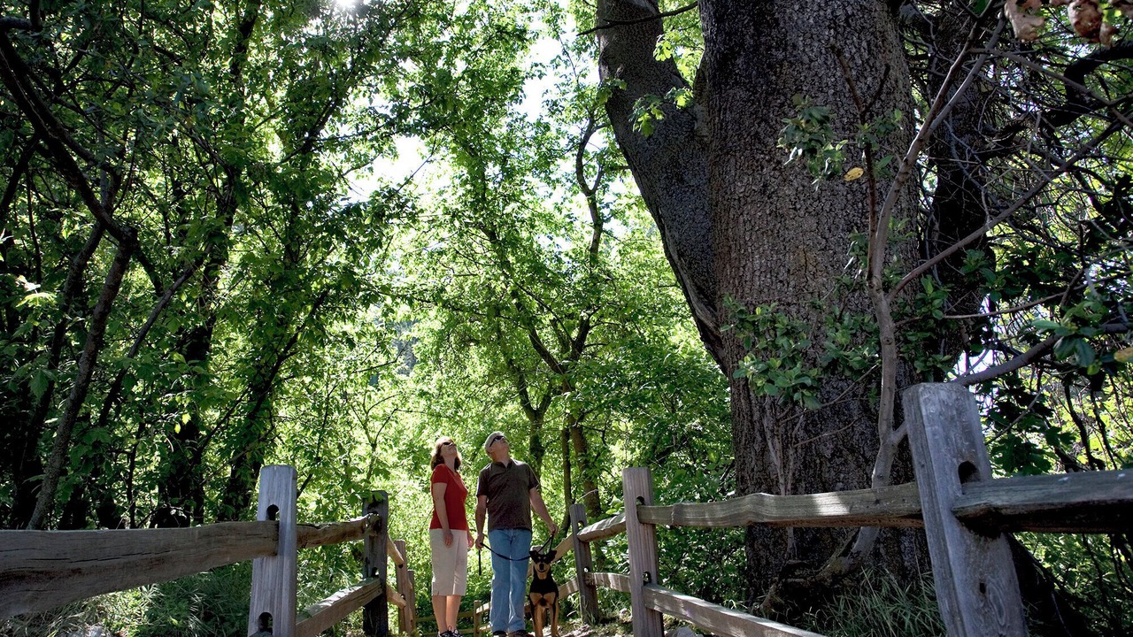 Photo of Outdoor in South Redlands