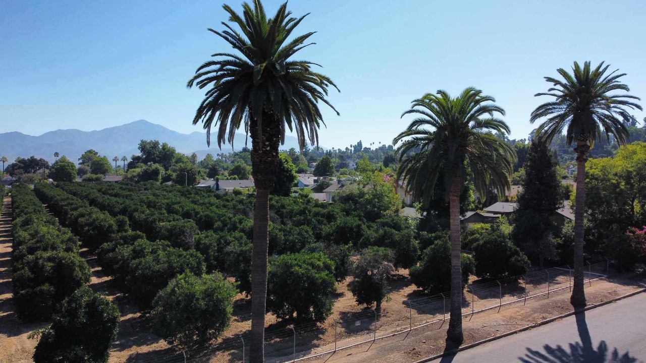 Photo of Others in South Redlands
