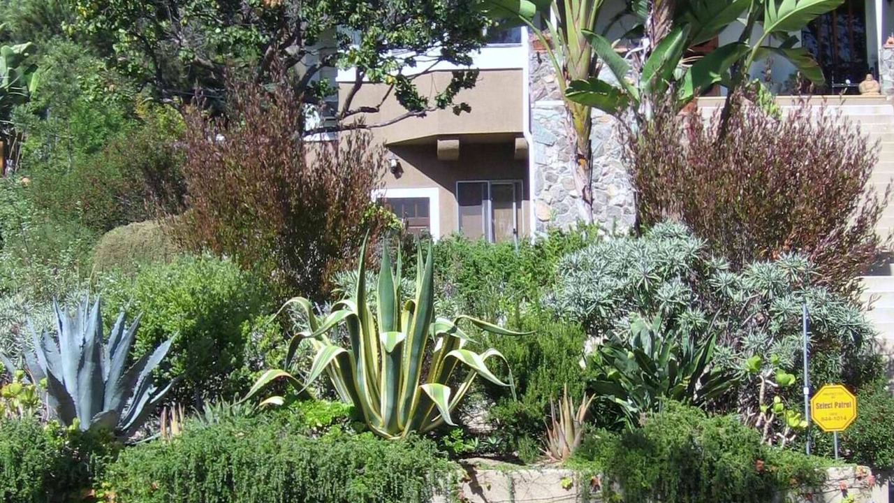 Photo of Outdoor in Elysian Heights