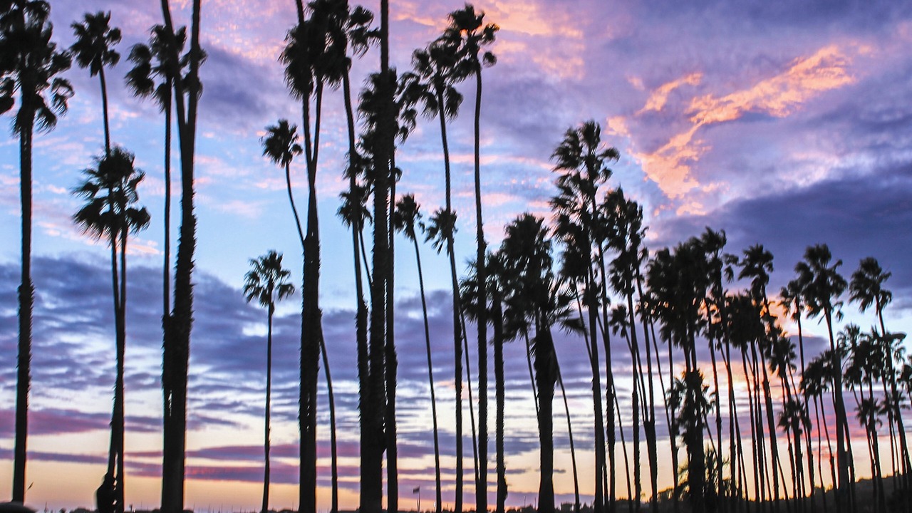 Photo of Others in Goleta