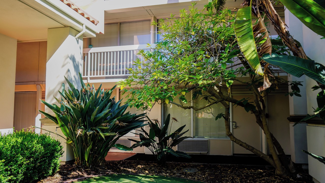 Photo of Outdoor in San Jose