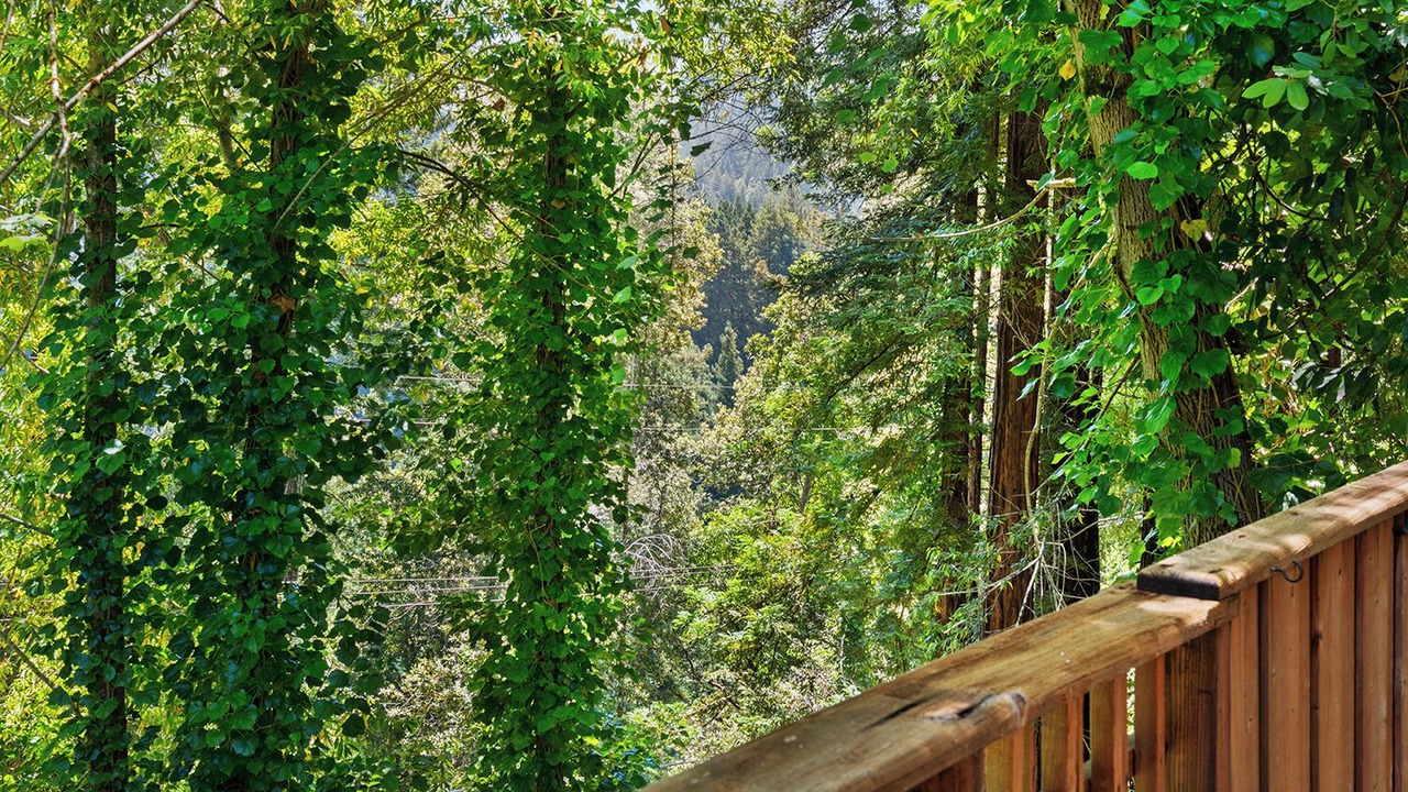 Photo of Others in Guerneville