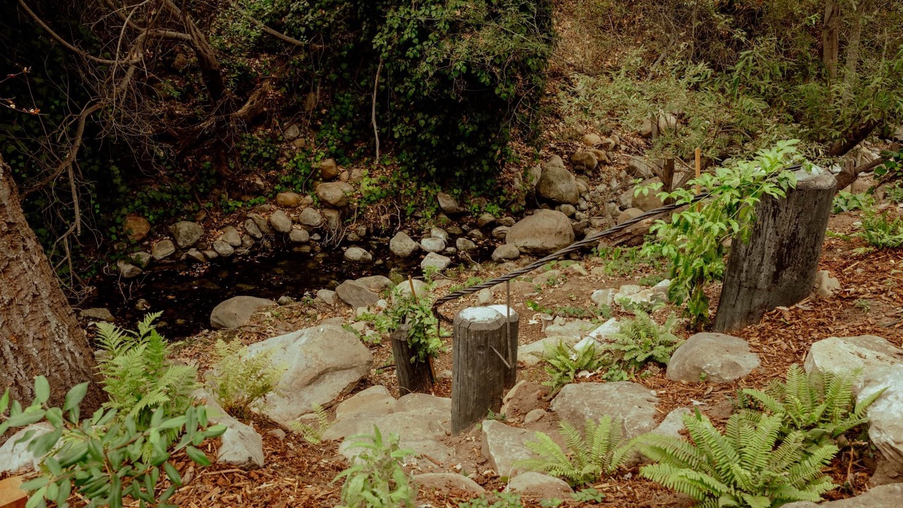 Photo of Others in Mission Canyon