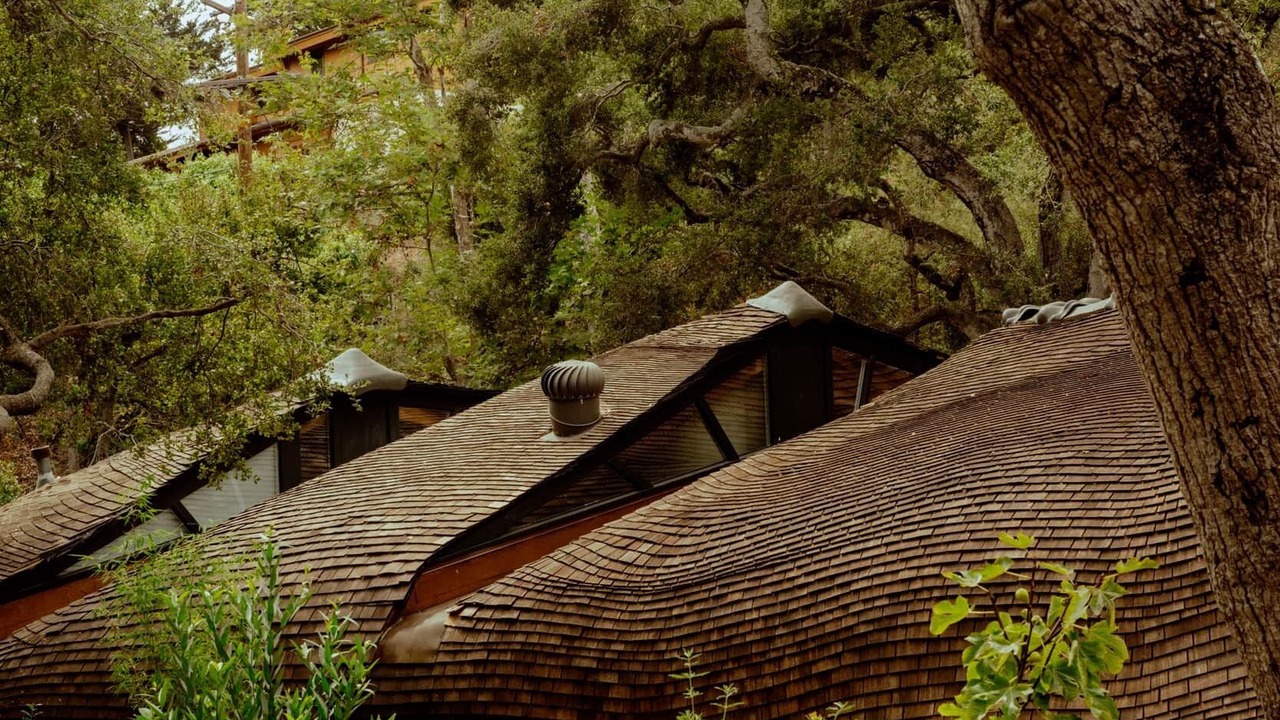 Photo of Others in Mission Canyon
