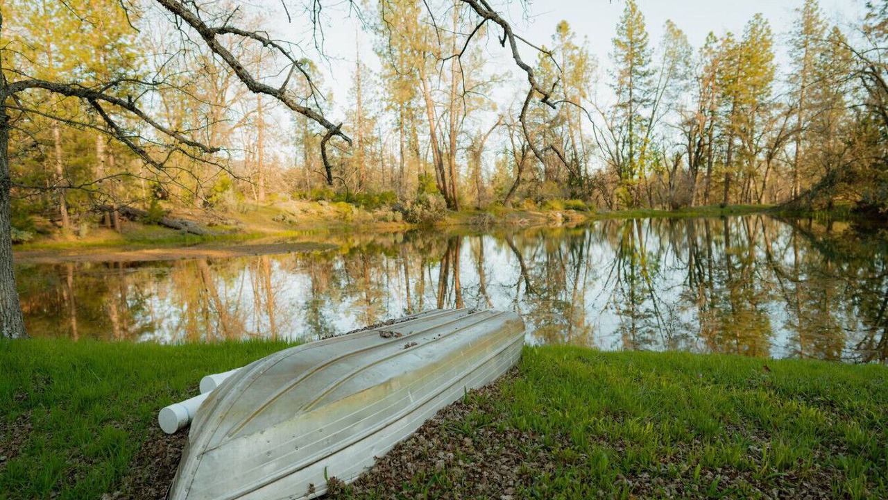 Photo of Others in Mariposa