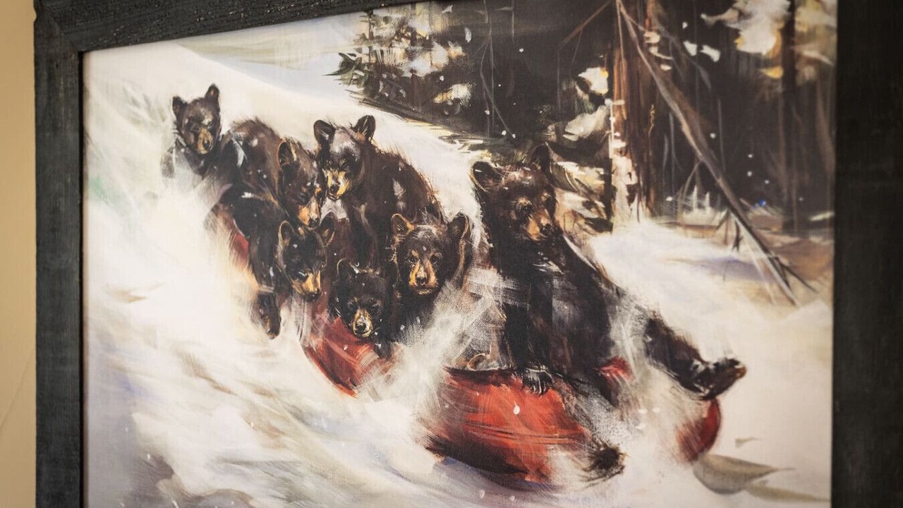 Photo of Others in Tahoe Paradise