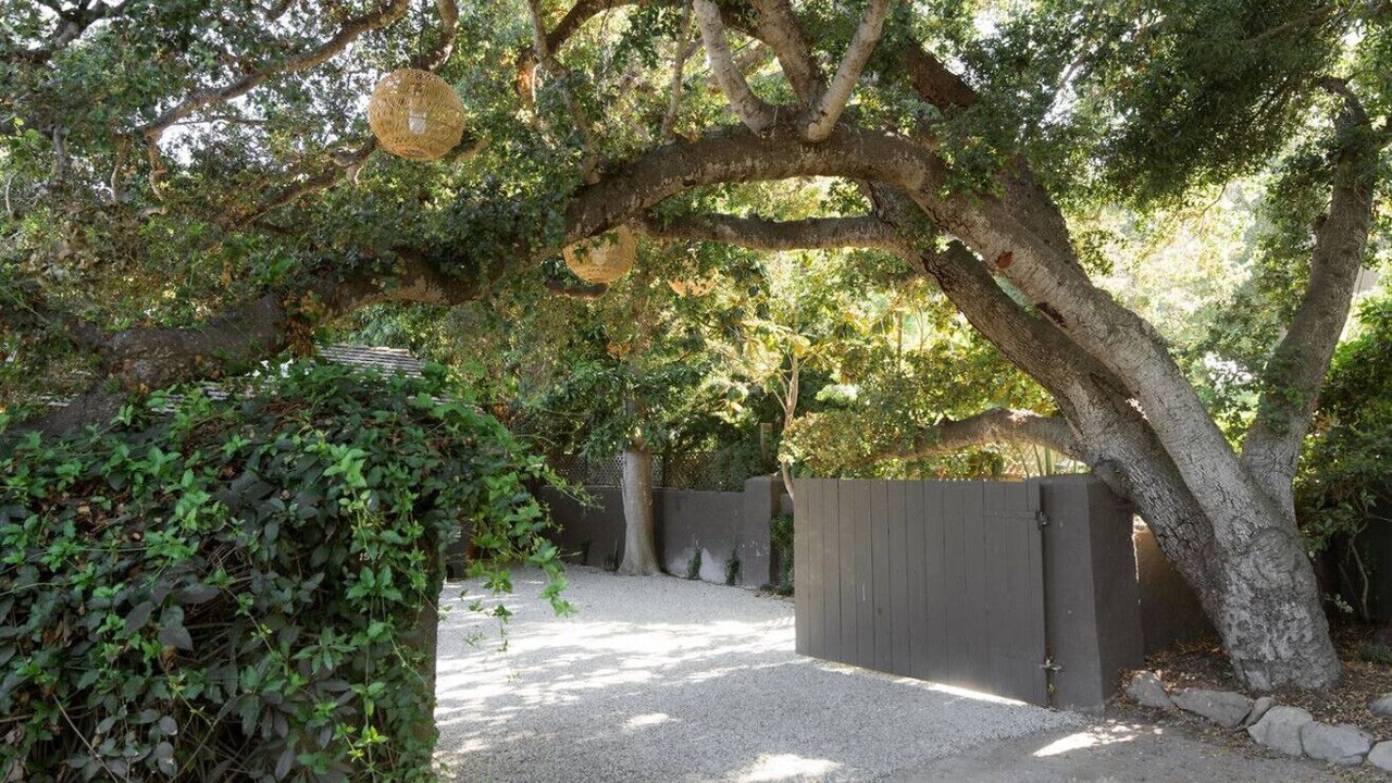 Photo of Outdoor in Hedgerow