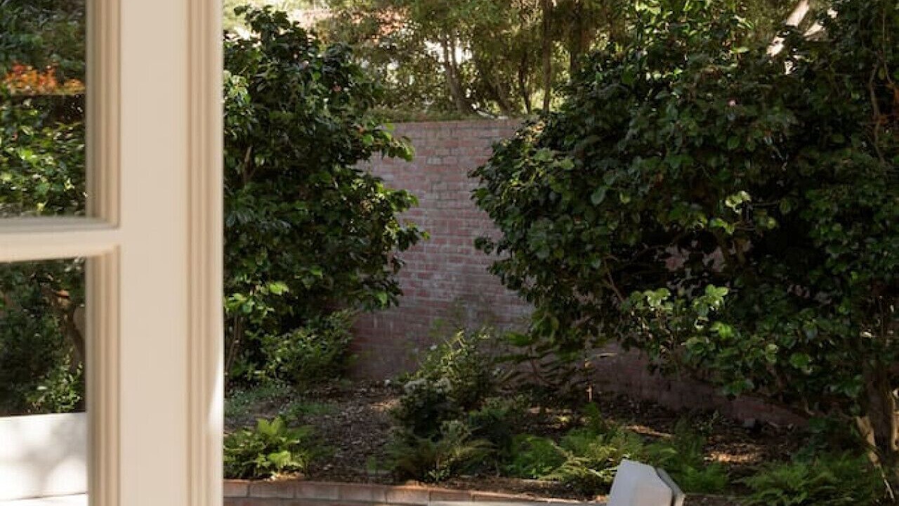 Photo of Outdoor in Hedgerow