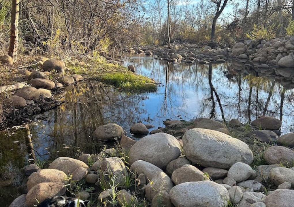 Photo of Others in Springville