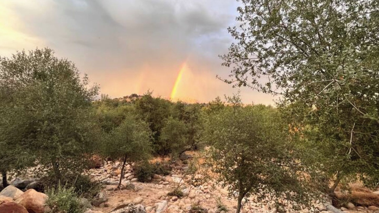 Photo of Outdoor in Springville