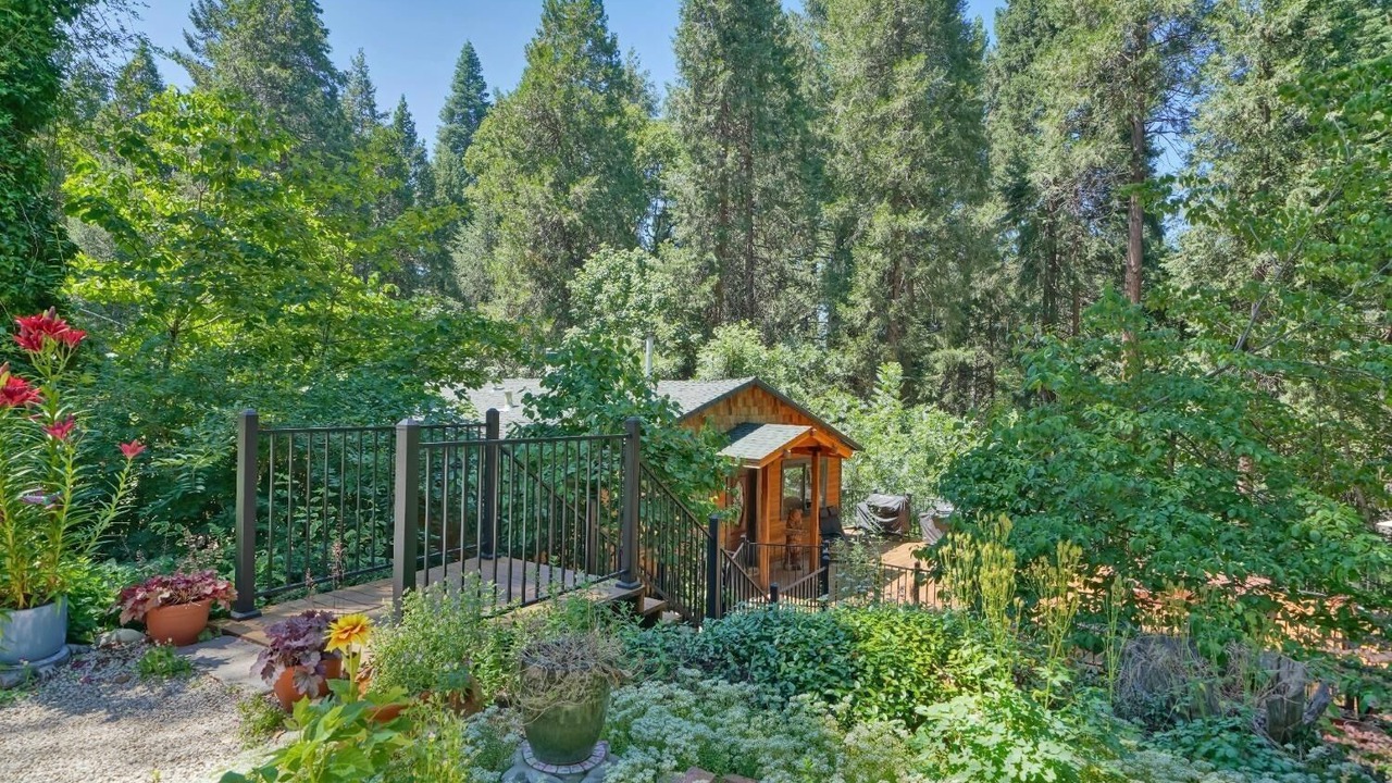 Photo of Outdoor in Apple Hill