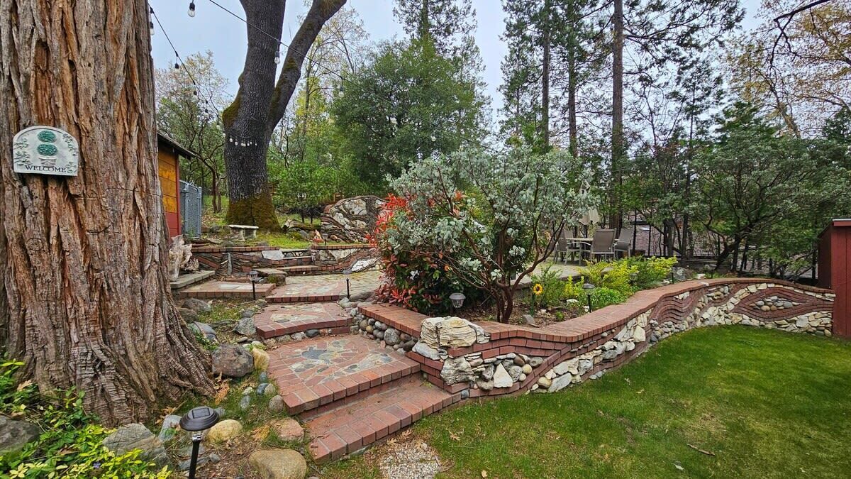 Photo of Outdoor in Bass Lake