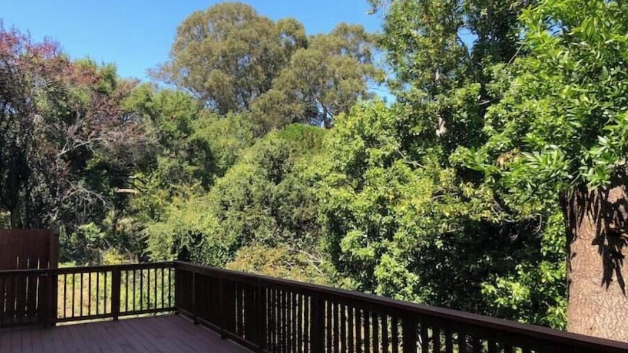 Photo of Outdoor in Millbrae