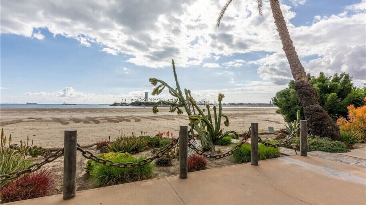 Photo of Others in Alamitos Beach