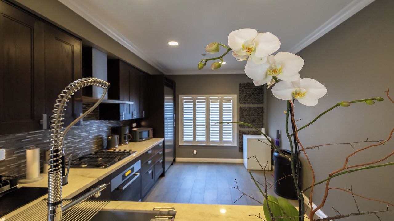 Photo of Kitchen in East San Mateo