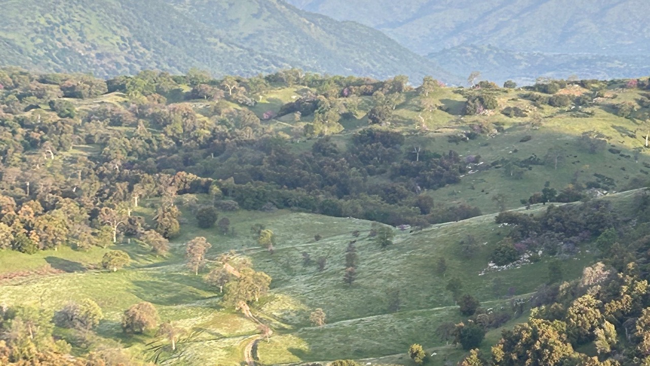 Photo of Others in Miramonte