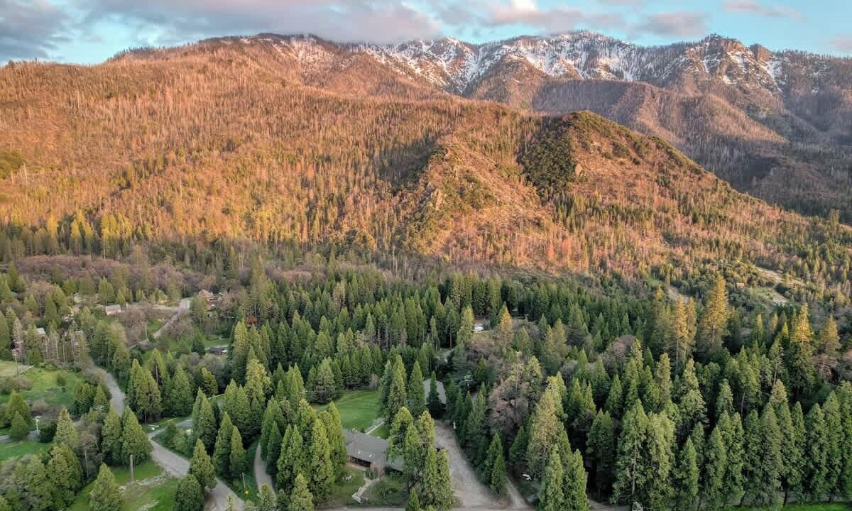 Photo of Outdoor in Springville