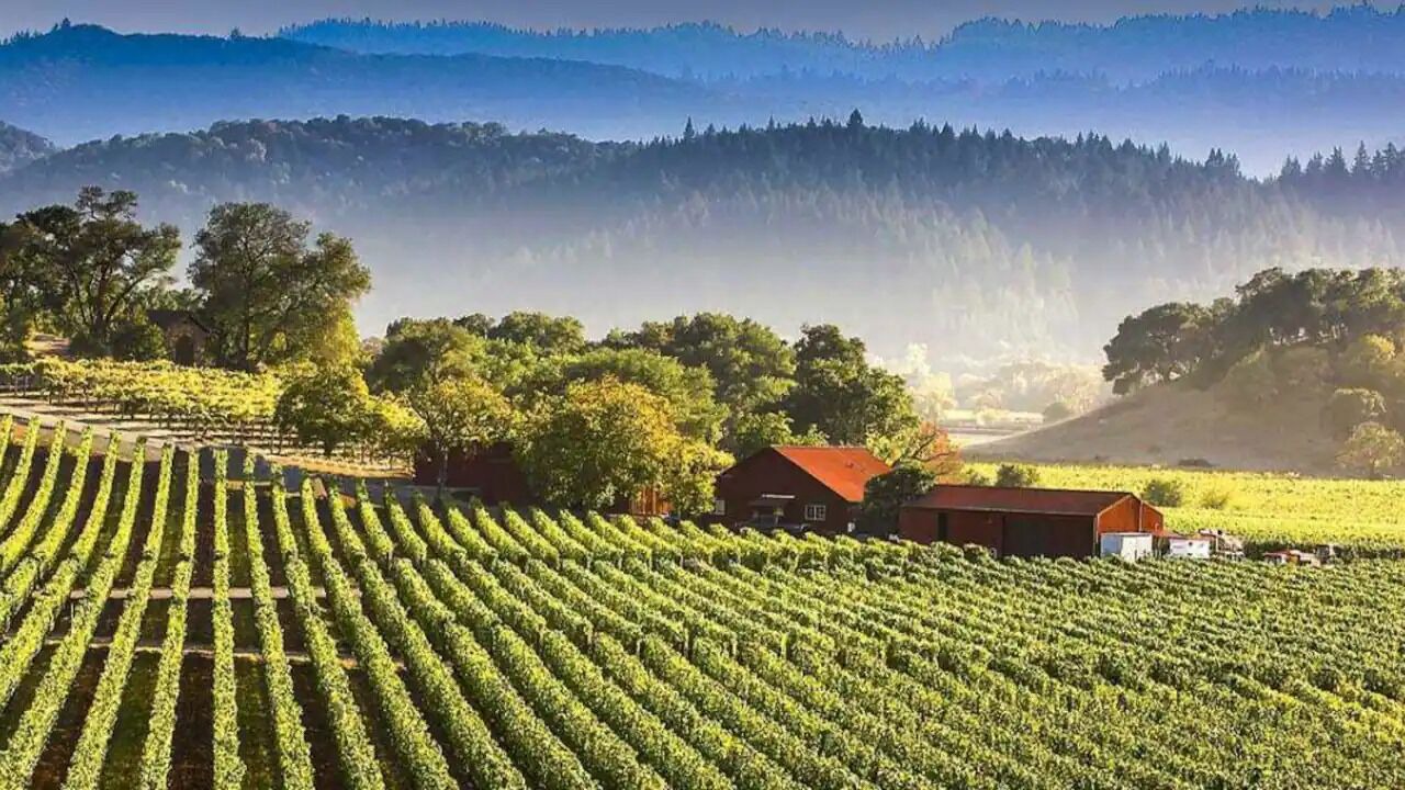 Photo of Outdoor in Lodi