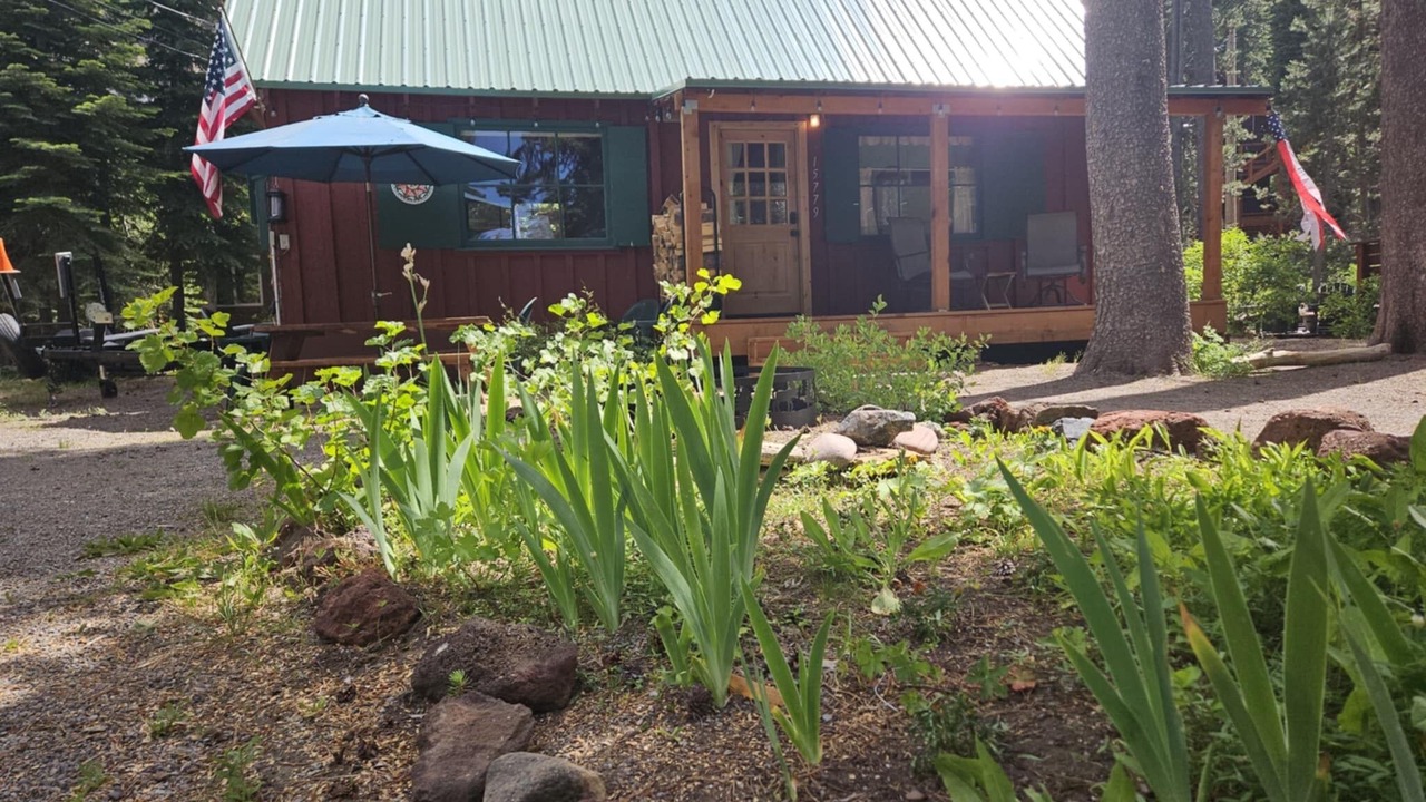 Photo of Outdoor in Donner Lake Woods
