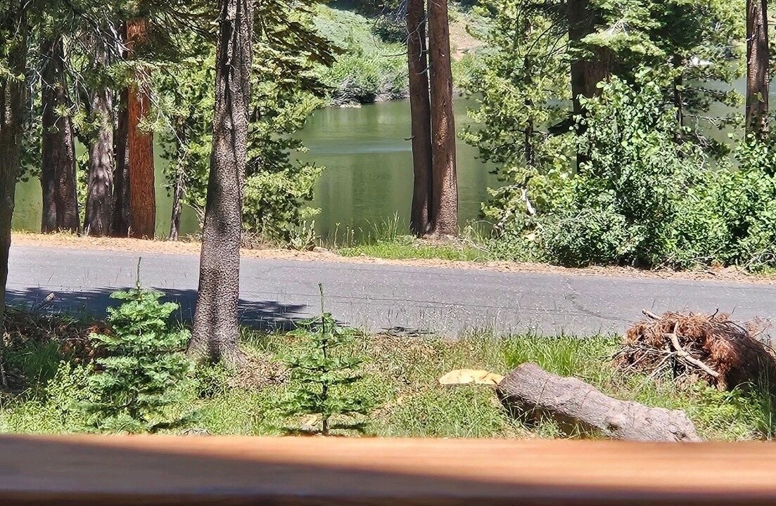 Photo of Others in Bear Valley