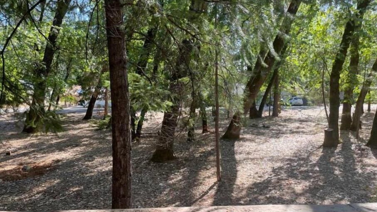 Photo of Outdoor in Lakehead-Lakeshore