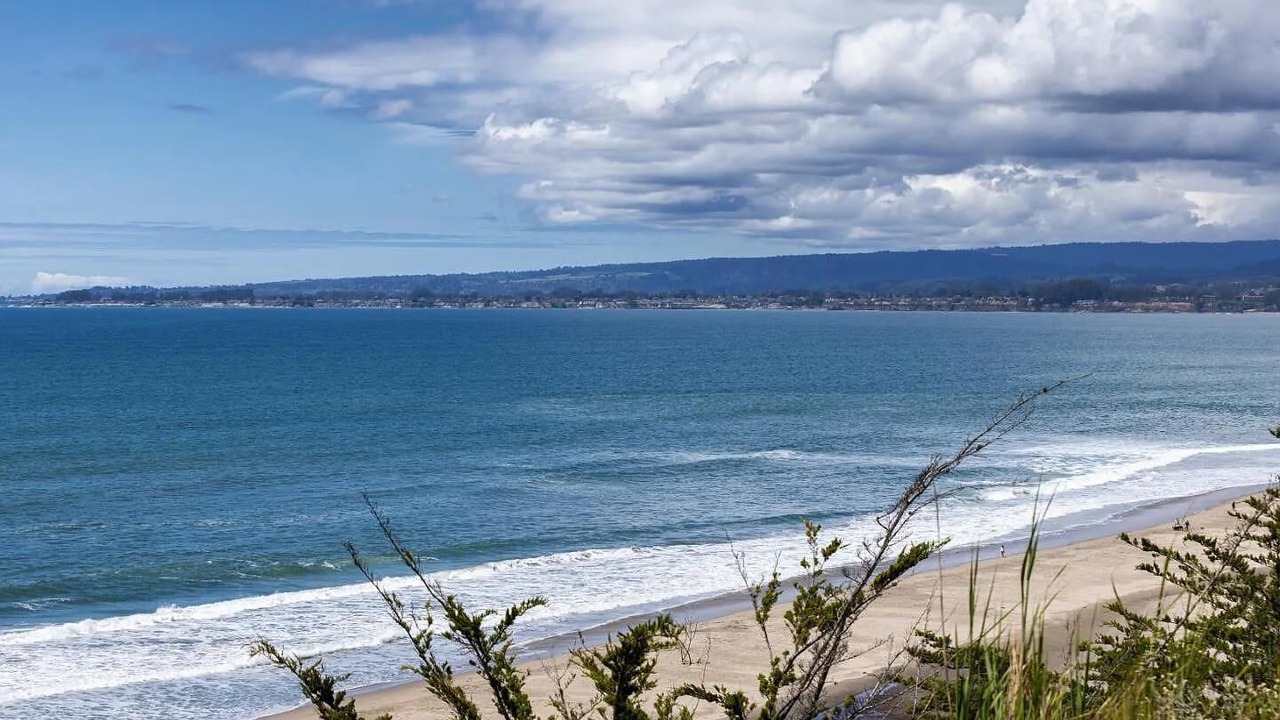 Photo of Others in La Selva Beach