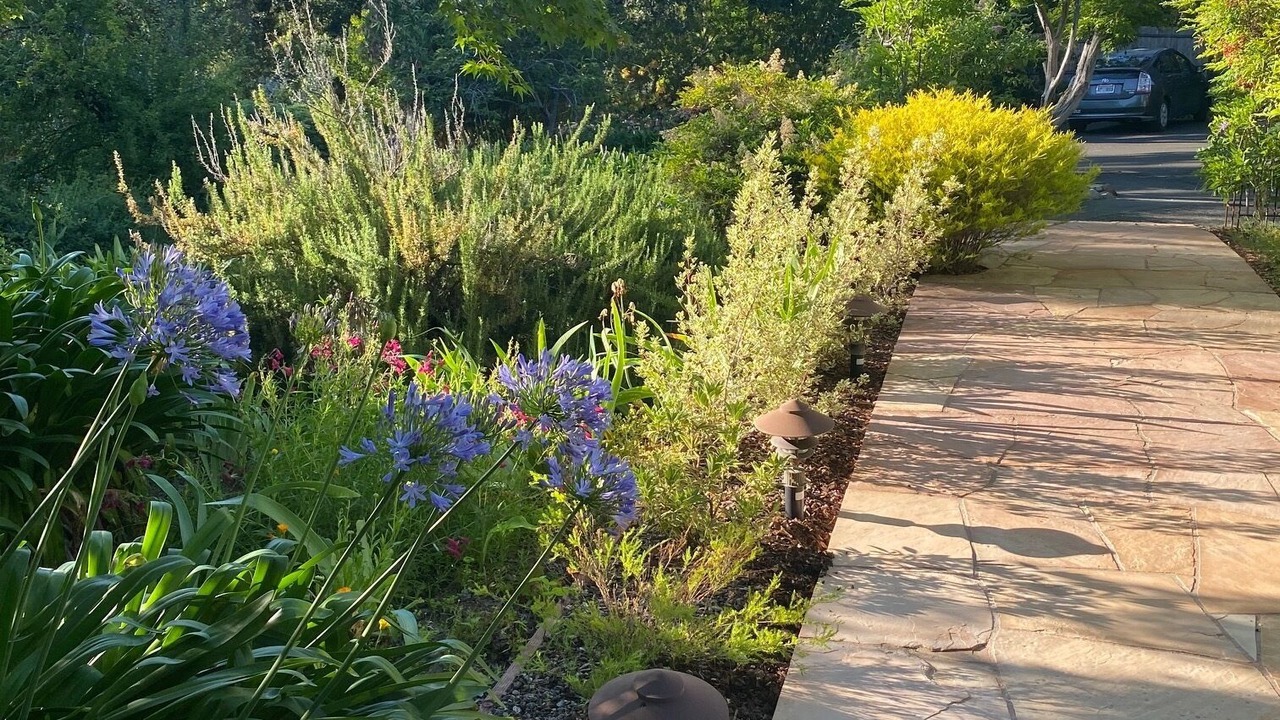 Photo of Outdoor in Glen Ellen