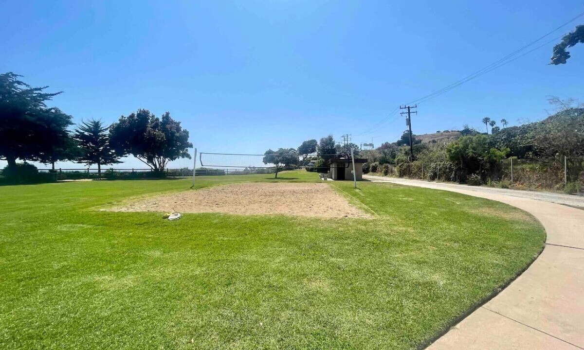 Photo of Others in Summerland