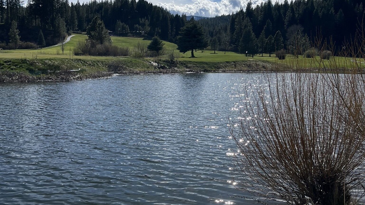 Photo of Others in Plumas Eureka Estates