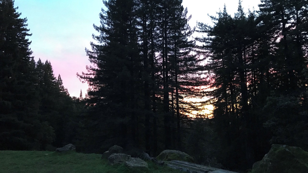Photo of Outdoor in Los Gatos